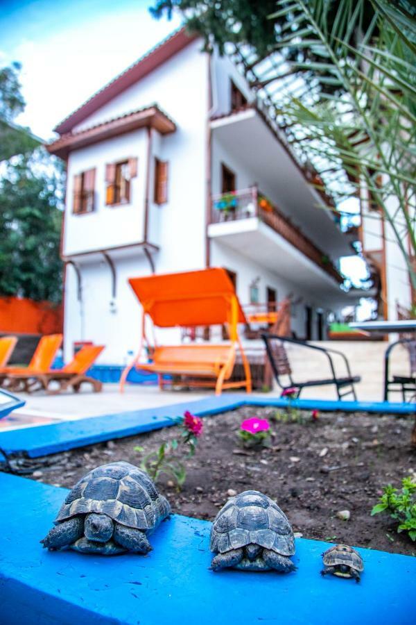 Kaliptus Hotel ケメル エクステリア 写真